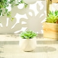 thumbnail image 3 of Easy to Maintain Artificial Potted White Ceramic Potted Mini Modern Decoration Artificial Succulent Potted for Home, 3 of 8