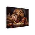 thumbnail image 2 of Trademark Fine Art 'Casa Grande Pot' Canvas Art by Maxine Johnston, 2 of 4