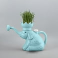 Glass Watering Can Watering Bottle For Indoor Watering Can Kids glass-watering-can-watering-bottle-for-indoor-watering-can-kids