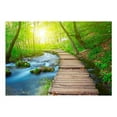 thumbnail image 2 of Tiptophomedecor Peel and Stick Nature Wallpaper Wall Mural - Green Forest - Removable Wall Decals, 2 of 3