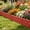 Red, variant on 1PCS 17.32x12.59in Connectable Plastic Picket Fence, Modular Interlocking Weather Resistant Landscaping Border, Easy DIY Assembly Barrier for Villa Courtyard Vegetable Garden Outdoor Landscaping