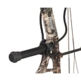 thumbnail image 3 of Bear Legit RTH, 3 of 7