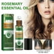 thumbnail image 1 of Rosemaries Hair Growth Oil Strengthens Hair Organics Rosemaries Hair Strengthening Oil Rosemaries Essences Oil Ball 10ml, 1 of 4