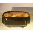 thumbnail image 1 of Ceramic Bonsai Pot, Black - Rectangle, 1 of 1