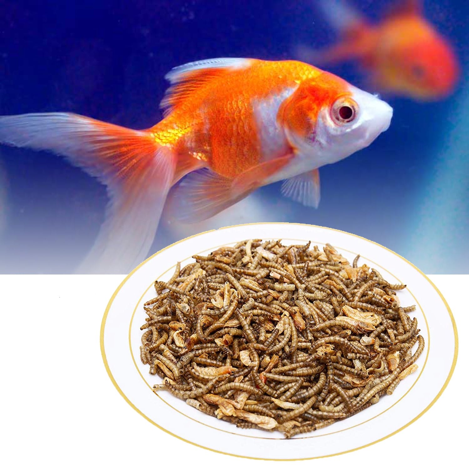 Amzey 2 Pack 1 LB Shrimp & Mealworms, 100% Non-GMO, Wild Bird Food, Chicken Feed, Fish Food, Reptiles Food, 2 lbs Total