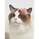 thumbnail image 2 of 5pcs Glitter Pet Hair Clip, 2 of 5
