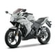 thumbnail image 5 of Motocicleta RT250 250cc Italika Motocicleta Deportiva Gris, 5 of 9