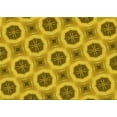 thumbnail image 1 of Ahgly Company Machine Washable Indoor Rectangle Transitional Dark Bisque Brown Area Rugs, 6' x 9', 1 of 7