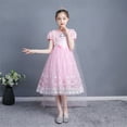 thumbnail image 3 of HAWEE Grisl Elsa Princess Dress Queen Costume Cosplay Dress Up with Accessories(Not Include Cape), 3 of 7