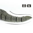 thumbnail image 2 of Funny Electric Wireless Remote Control Crocodile Toy Animal Crawling Crocodile RC Toy, 2 of 10