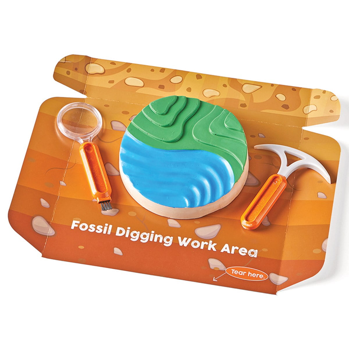 CONTAINS 8 FOSSILS Details about HAND2MIND DIG & DISPLAY FOSSIL KIT CONTAINS 8 FOSSILS Details about HAND2MIND DIG & DISPLAY FOSSIL KIT