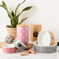 thumbnail image 5 of Bone Dry Ceramic Pet Bowls, Dishwasher Safe, Small Bowl Set, 4.25x2", Gray/Black, 2 Count, 5 of 5