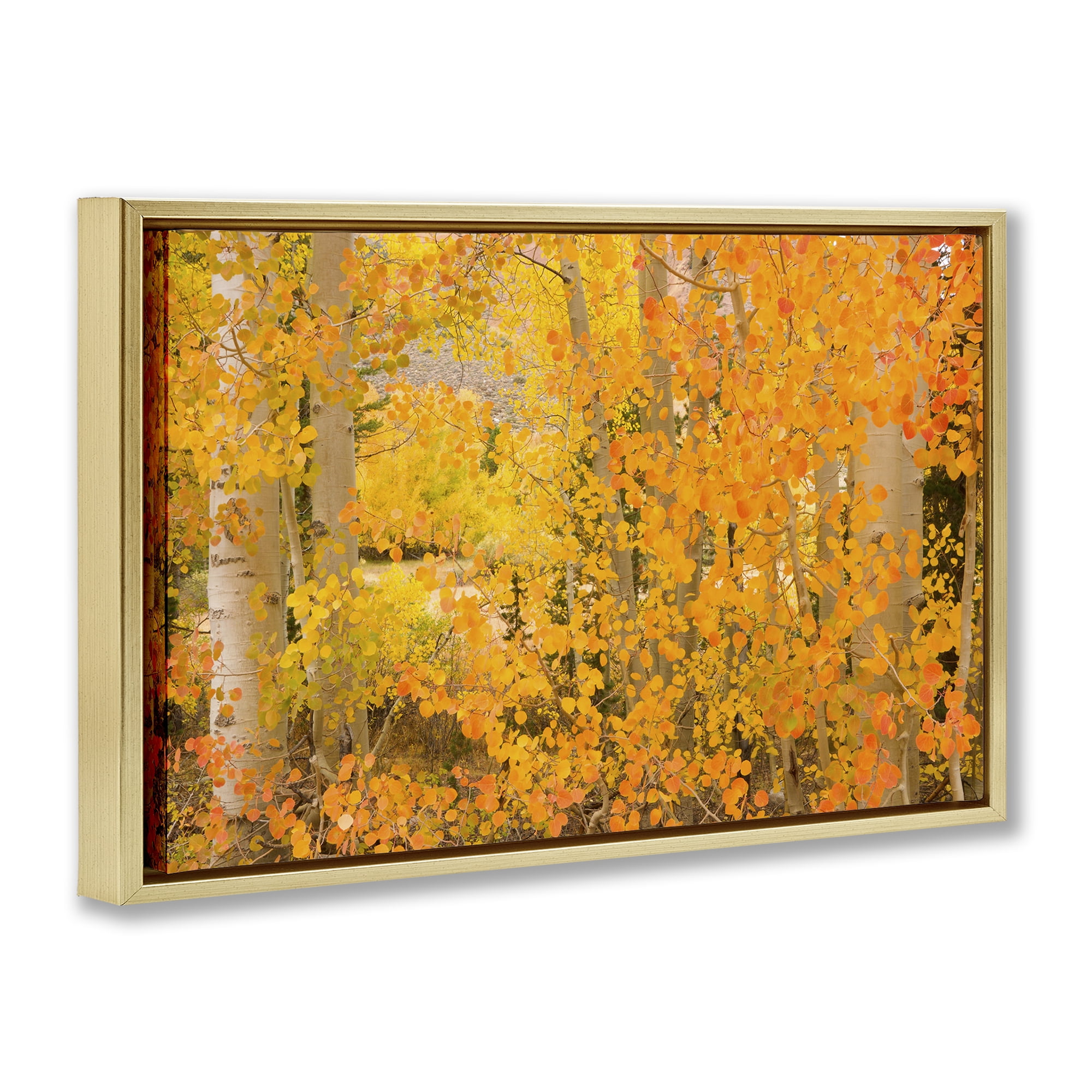 Stupell Industries Dense Birch Foliage Plants & Flowers Photography Gold Floater Framed Canvas Art Print Wall Art, 31 x 21