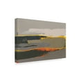 thumbnail image 2 of Trademark Fine Art 'Ceide Study IV' Canvas Art by Grainne Dowling, 2 of 3