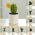 thumbnail image 3 of Artificial Cactus Plants, Mini Fake Desert Plants in White Pots, 3 of 8