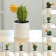 thumbnail image 4 of Gwong Decoración hogareña Mini Bonsai Non-Fading Landscaping Simulación de plástico Plantas suculentas Decoración de mesa Gwong 21082694, 4 of 6