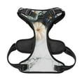 thumbnail image 5 of Picia Pumpkin And White Marble No-Pull Dog Harness Reflective Front Clip Vest with Handle,Step-in Air Dog Harness,Adjustable 2 Metal Rings 4 Buckles,Easy to Put on & Take Off, 5 of 9