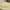 Beige, variant on 18.90x29.13 Inch Stretch Pillow Cases - Jersey Knit & Envelope Closure Pillowcases with Ultra Soft T-Shirt Like Polyester Blend - Suitable for Queen or Standard Size