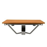 Steamist SBS-ADA Tilt-up ADA Compliant Bathroom Seat - Polished Chrome