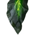 thumbnail image 6 of Northlight Wide Leaf Artificial Dieffenbachia Potted Plant - 51", 6 of 9