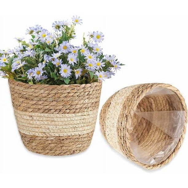 2 cestas de algas marinas, cestas para plantas, cestas de almacenamiento de algas marinas, cestas tejidas para flores, macetas tejidas a mano, cestas tejidas de algas marinas, cestas para flores