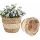 thumbnail image 1 of 2 cestas de algas marinas, cestas para plantas, cestas de almacenamiento de algas marinas, cestas tejidas para flores, macetas tejidas a mano, cestas tejidas de algas marinas, cestas para flores, 1 of 5