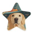thumbnail image 2 of Star Night Light Auto On/Off Plug-in Wall Light with Light Sensor Warm White LED for Home Party Dog Wearing A Witch Hat, 2 of 6