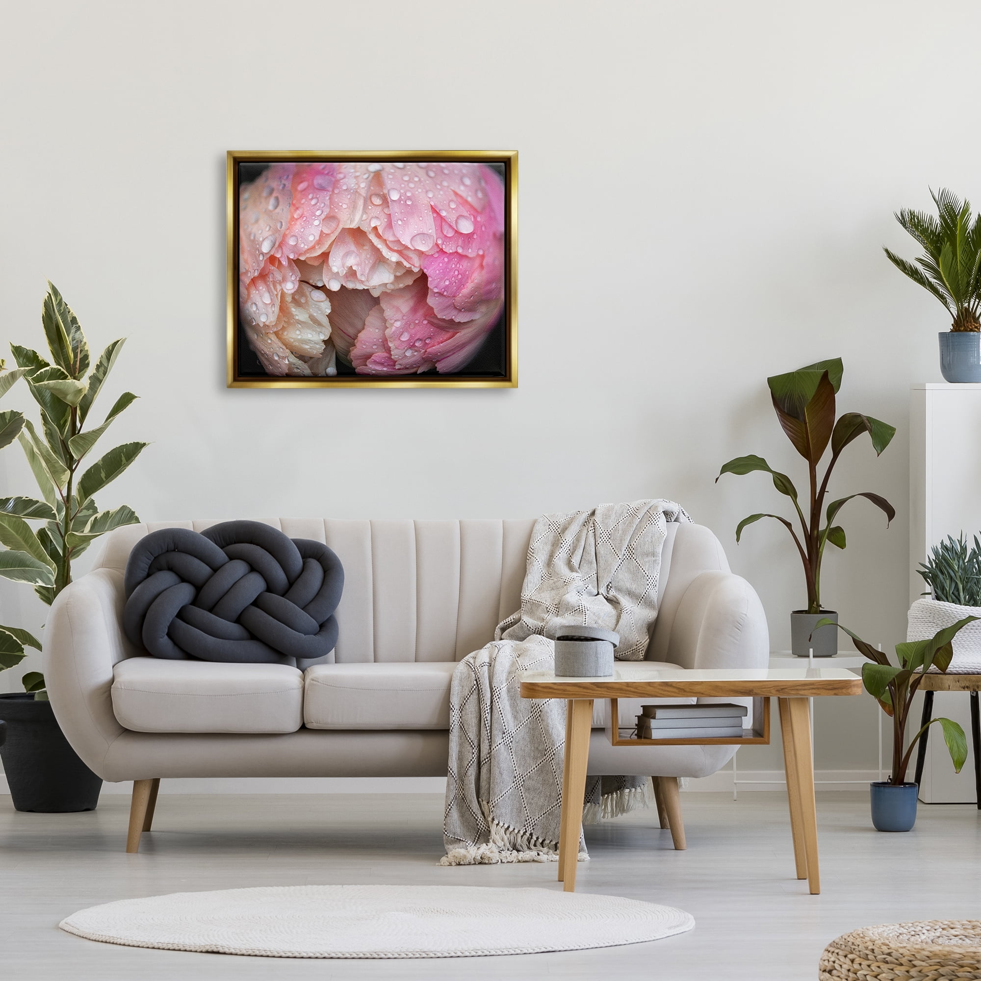 Stupell Industries Pink Peony Budding Water Droplets Botanical & Floral Photography Gold Floater Framed Art Print Wall Art