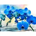 thumbnail image 1 of Diamond Drill Moth Orchid 5D DIY Kits de pintura Full Round Wall Decor Art Crafts FLhrweasw Nuevo, 1 of 9