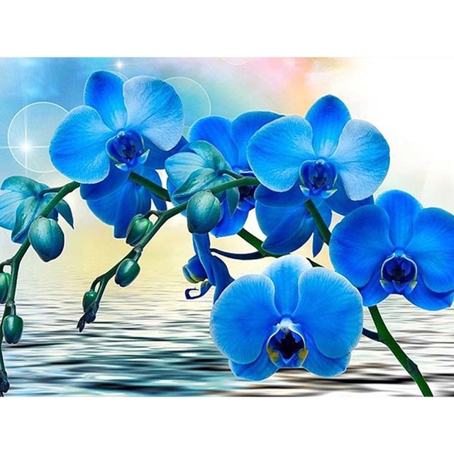 Diamond Drill Moth Orchid 5D DIY Kits de pintura Full Round Wall Decor Art Crafts FLhrweasw Nuevo