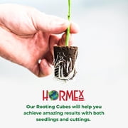 Hormex Rooting Cubes for Plant Starter and Seedling Growth, Ideal for Soil or Hydroponics (50)