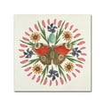 thumbnail image 2 of Trademark Fine Art 'Butterfly Mandala II' Canvas Art by Wild Apple Portfolio, 2 of 4