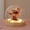 Cherry Blossom, variant on MYKOMI Pretty 20 Tulips Lamps Flower Night Light Cute Bedroom Decor Aesthetic Unique Gifts for Women - Battery Powered (not Included)