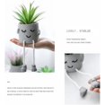 thumbnail image 2 of 3 PCS Creative Artificial Succulent Plants with Grey Pots, Mini Potted Succulents Decor for Home Decor, 2 of 5