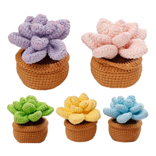 5 Piezas Plantas en Macetas Kit Crochet Inicio Bricolaje para Adultos (suculento)
