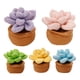 thumbnail image 1 of 5 Piezas Plantas en Macetas Kit Crochet Inicio Bricolaje para Adultos (suculento), 1 of 9