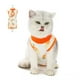 thumbnail image 1 of Traje de recuperación quirúrgica para gatos, ropa posoperatoria, pijama, ropa para mascotas de interior (naranja) L, 1 of 5