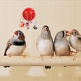 thumbnail image 4 of Juguetes para masticar loro pájaro jaula colgante decoración bola de mordida juguete de campana colorida, 4 of 5