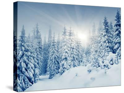 Winter Landscape Snowy Trees 3.2 Wall Art Canvas Picture Print 