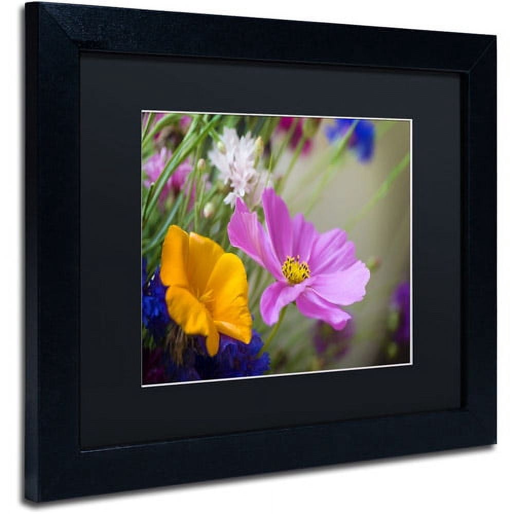 Trademark Fine Art "Cosmos of the Fields" Canvas Art by Philippe Sainte-Laudy, Black Matte, Black Frame