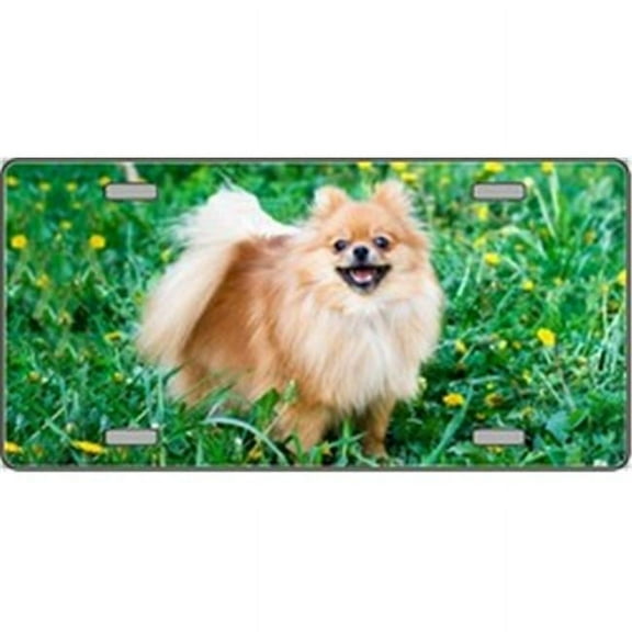 LP-2175 Pomeranian Dog Pet Novelty License Plates- Full Color Photography License Plates
