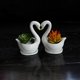 thumbnail image 4 of Charming White Ceramic Swan Planter for Succulents, Single Pot, 4 of 5