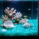 thumbnail image 5 of Pequeñas piedras romboidales que brillan en la oscuridad para sustrato de jardín y acuario: piedras fluorescentes luminosas para decoración nocturna, paisajismo acuático y detalles de caminos., 5 of 6