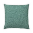 thumbnail image 1 of Ahgly Company Outdoor Square Contemporary Throw Pillow, 18 inch by 18 inch, 1 of 5