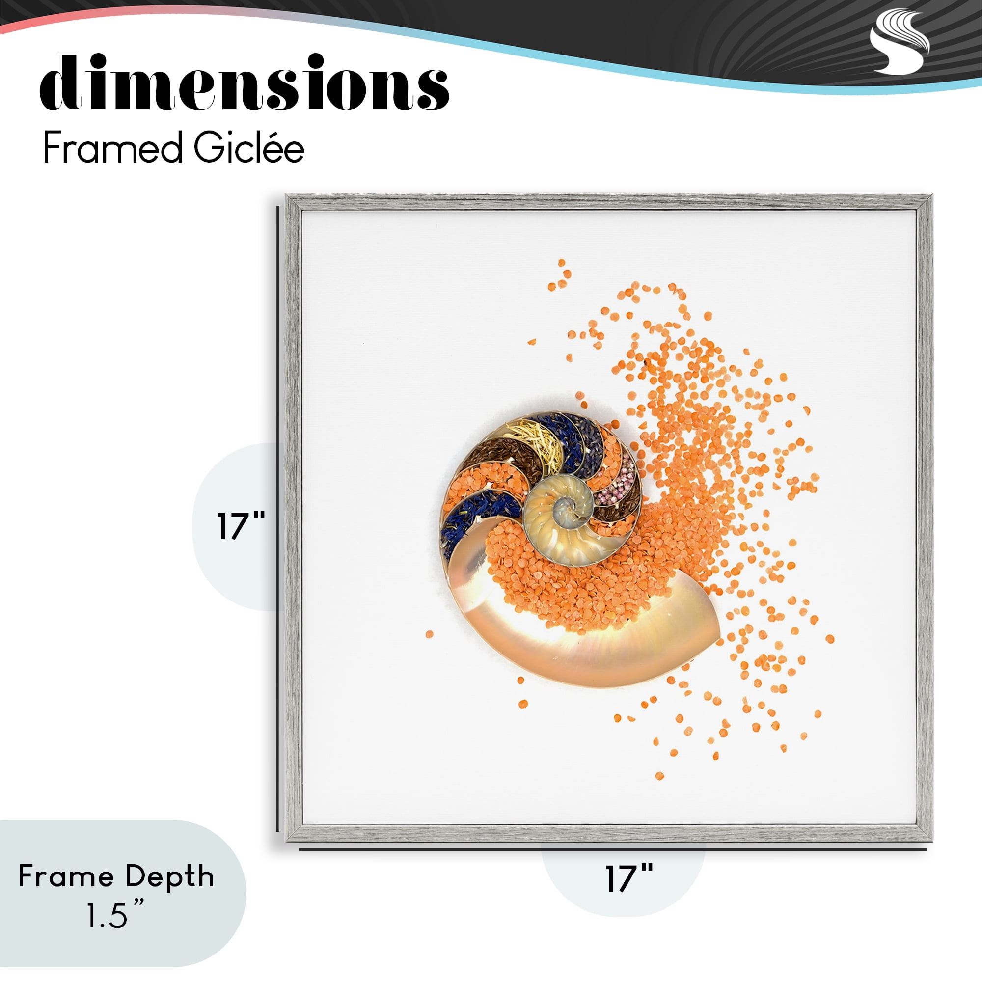 Stupell Industries Orange Nautilus Spiral Gray Framed Giclee Art, design by Beth Adoette