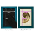 thumbnail image 4 of Sealife Collection V - Framed Print w/glass - Ocean Blue, 4 of 8