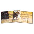 thumbnail image 3 of Greater Than Games | Spirit Island: Branch & Claw - Foil Panels | Cooperative Strategy Board Game Accessory | Premium Component Upgrade, 3 of 7