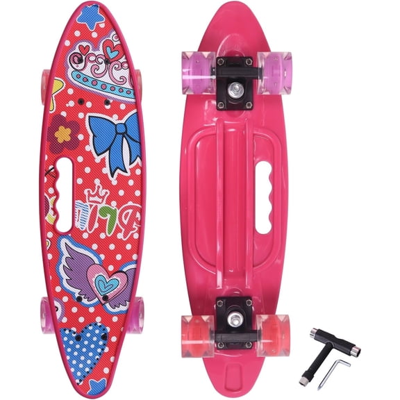 22 Inch Mini Cruiser Skateboard Colorful Light Up Wheels Complete Retro for Kids Girls Boys Rose Princess