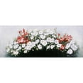 thumbnail image 3 of Motz, Peter 18x9 Black Modern Framed Museum Art Print Titled - Flowers bouqet, 3 of 5