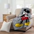 thumbnail image 2 of Mickey Mouse This Is Mickey Kids Micro Raschel Throw Blanket, 2 of 5